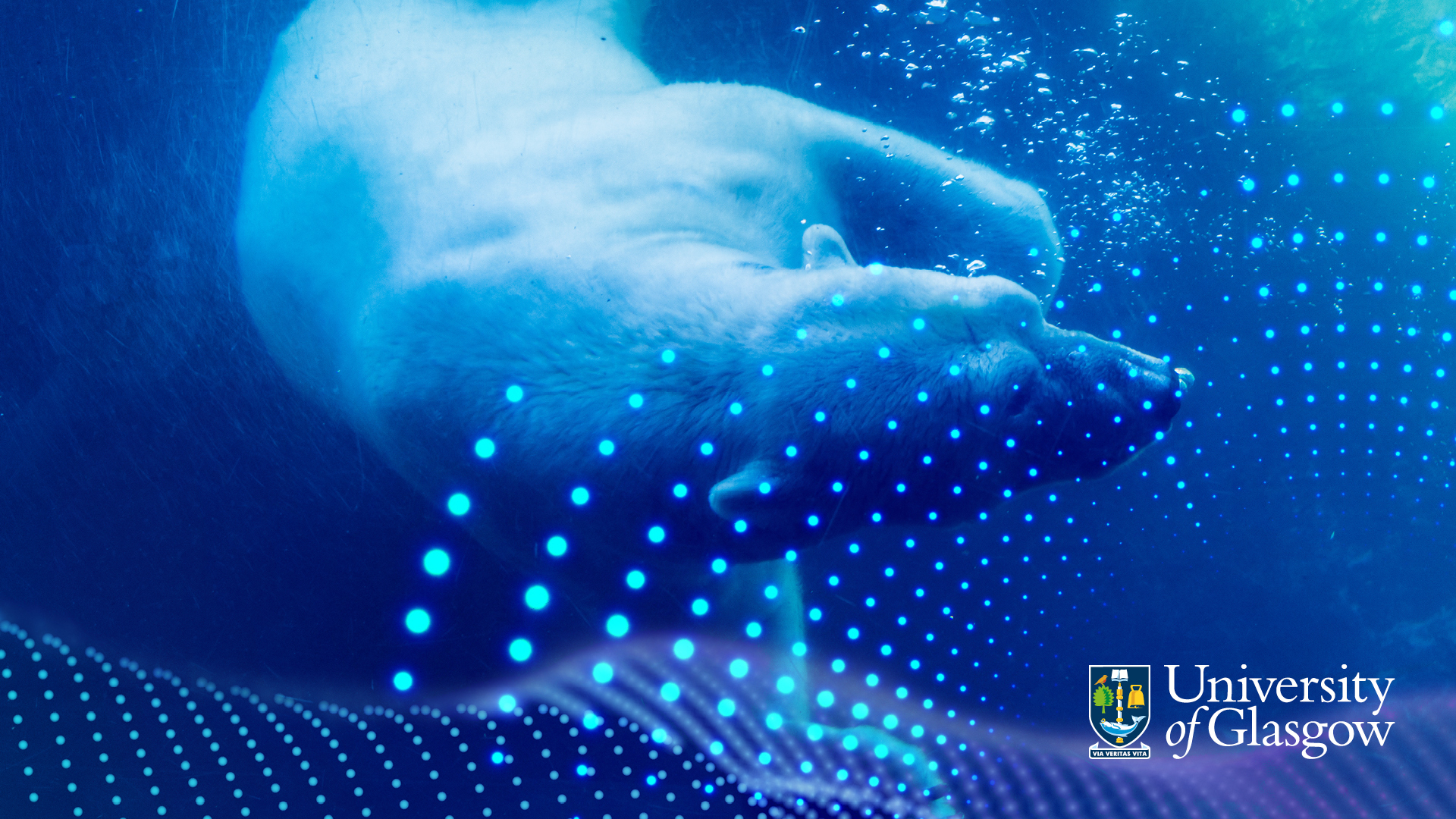 University of Glasgow